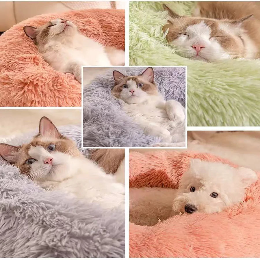 Cozy Donut Cat Bed — Soft Plush Washable