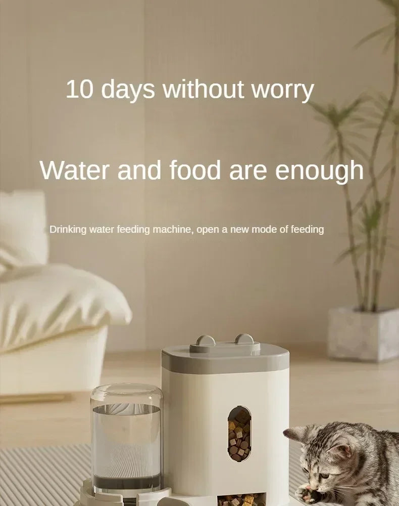 Automatic Feeder Cat Dog Food Bowl With Water Fountain Pet