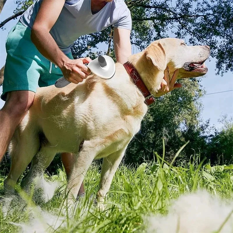 Self-Cleaning Pet Hair