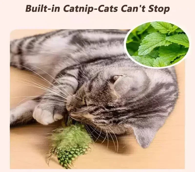 Interactive Bird Cat Toy - Motion Activated Chirping Plush